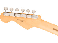 Fender Player II Stratocaster RW Cactus Gray Fender Player II Stratocaster RW Cactus Gray